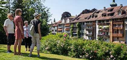 Ansicht Altstadthäuser