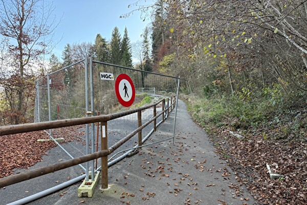 Haldenstrasse