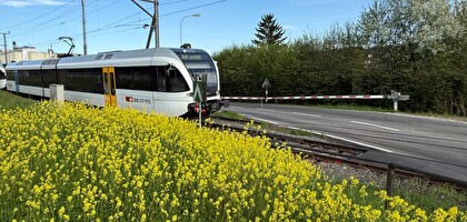Verkehrsbehinderung