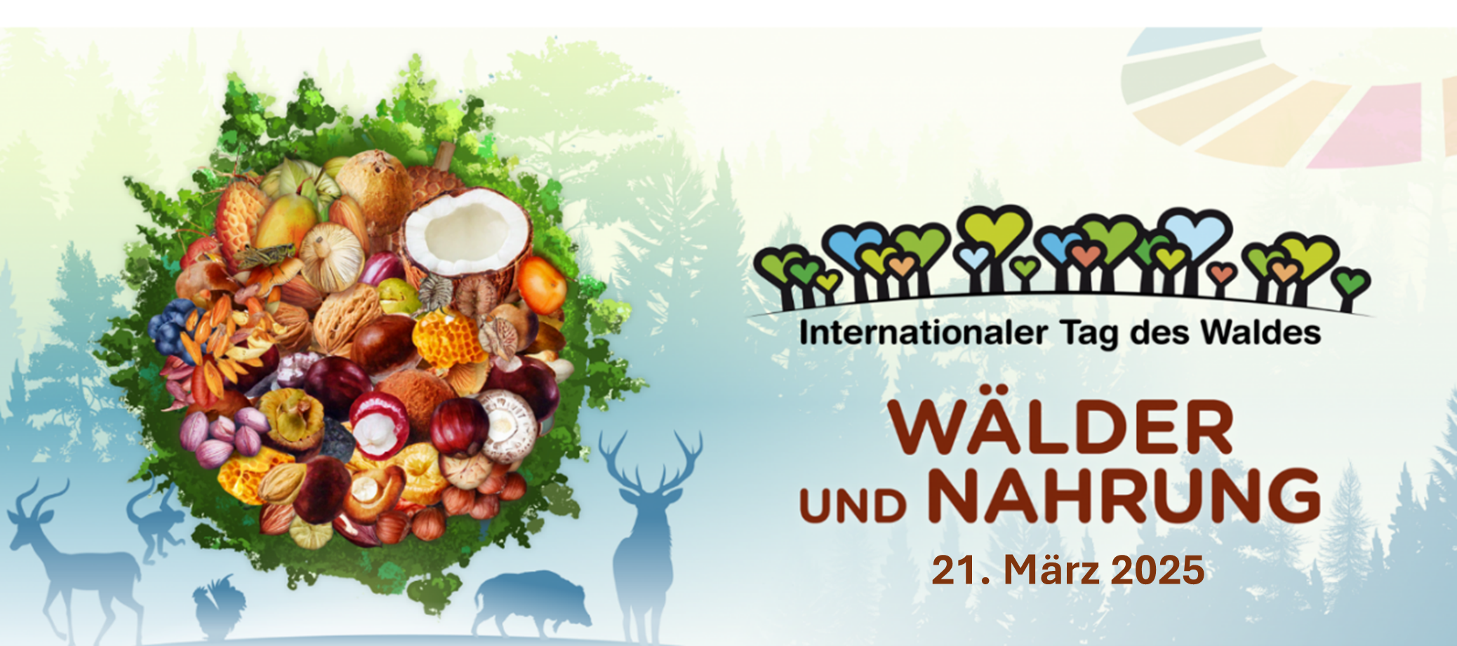 Internationaler Tag des Waldes
