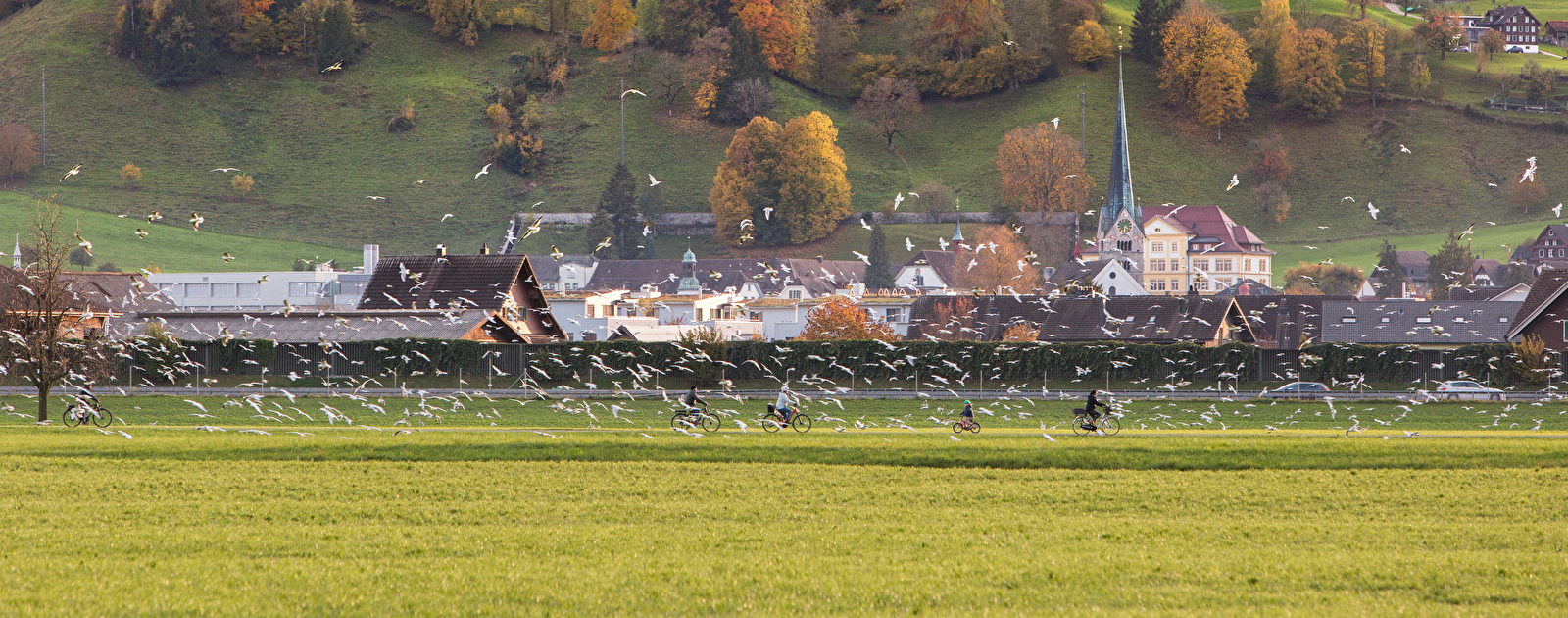 Stans Herbst