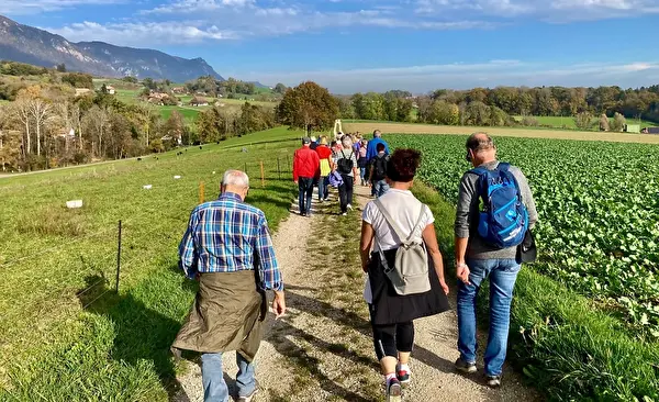 Zämegolaufe: gemeinsame Spazierwanderung
