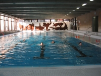 Schwimmhalle