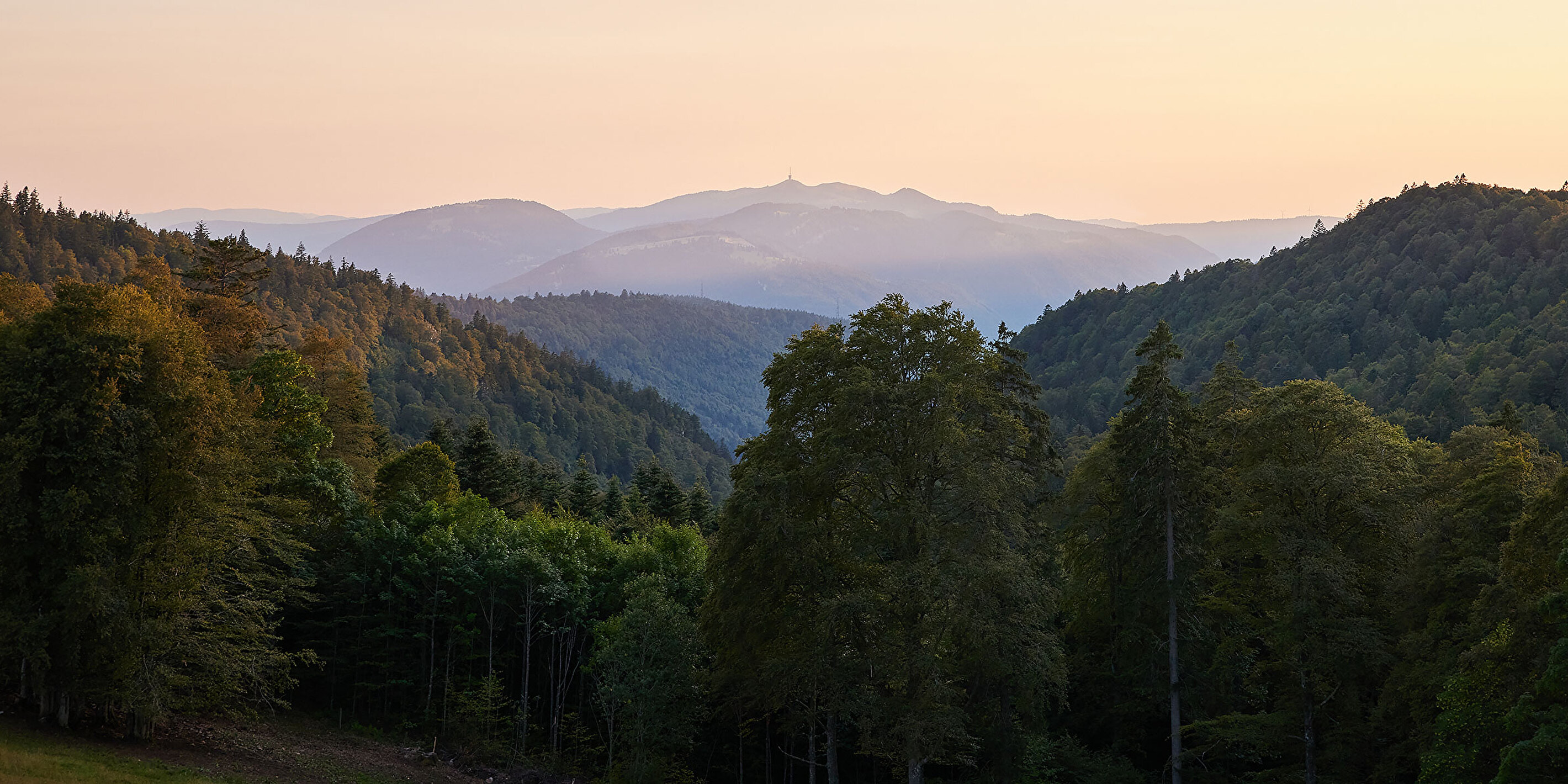 Tausend gute Gründe Headerbild 1