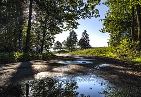 aktuelle Todesfaelle