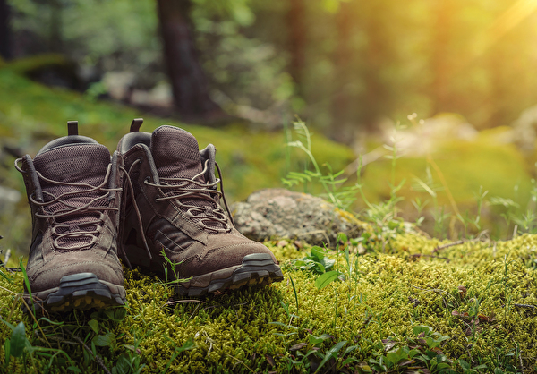 Geführter Spaziergang «Rund um Ägeri»