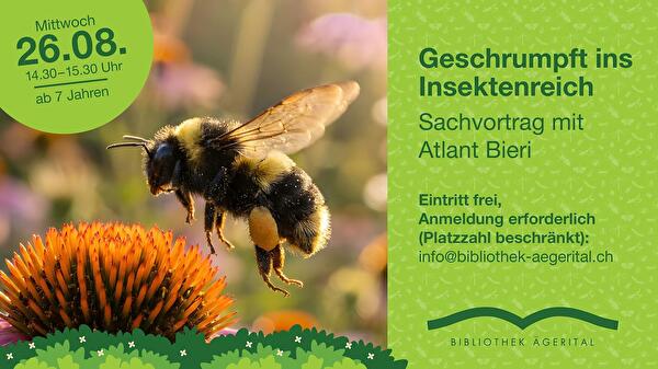 p260319_bibli-insekten-1920x1080-rz.jpg