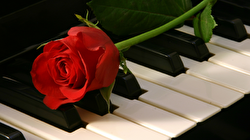 Hauskonzert, 11.05.2026.png