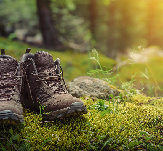 Geführter Spaziergang «Rund um Ägeri»