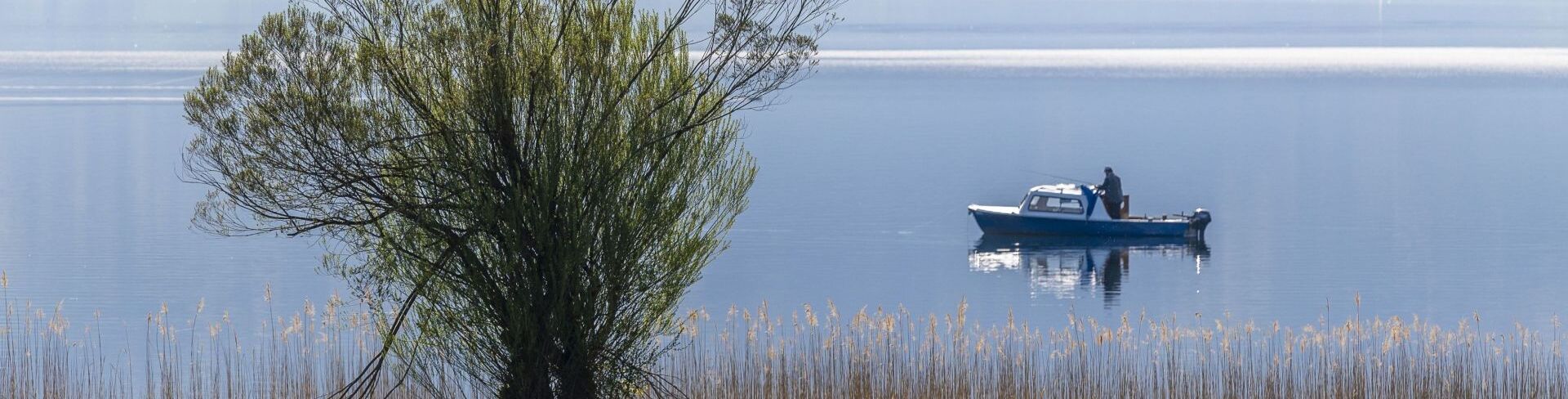 Bewilligungen für Fischereipatente