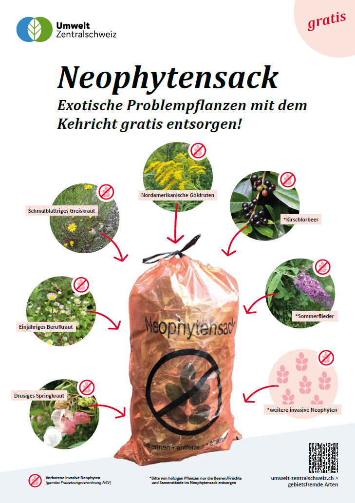 Neophyten Sack