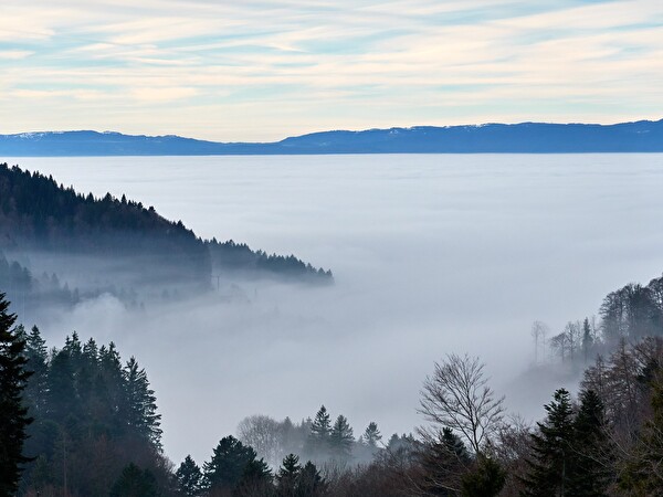 Nebellandschaft Wynigen-Berge