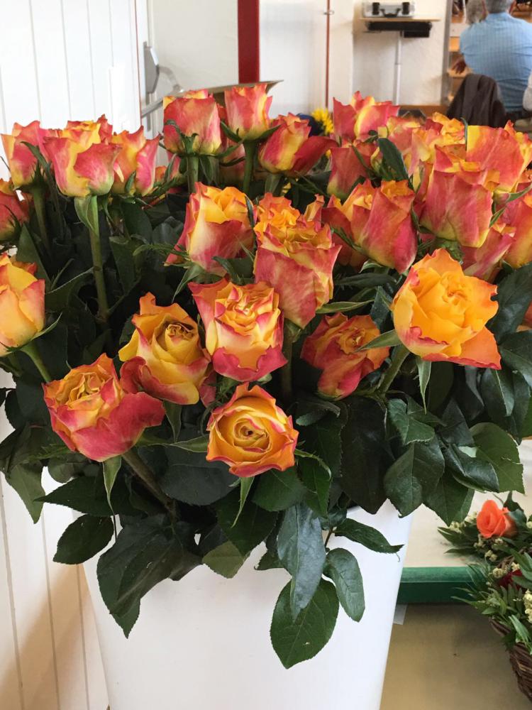 Jede/r Jubilar/in erhielt beim nachhausegehen eine Rose. 