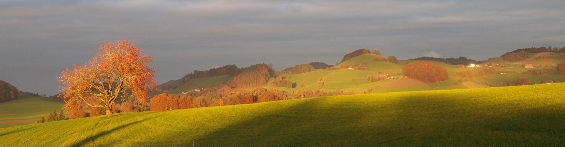 Wynigen Foto