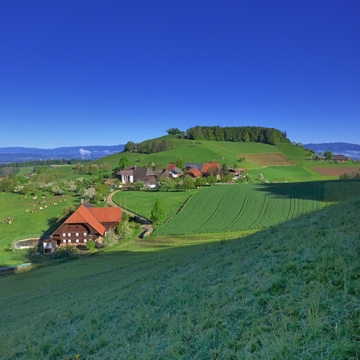 Ferrenberg