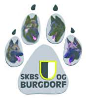 Logo SKBS OG Burgdorf