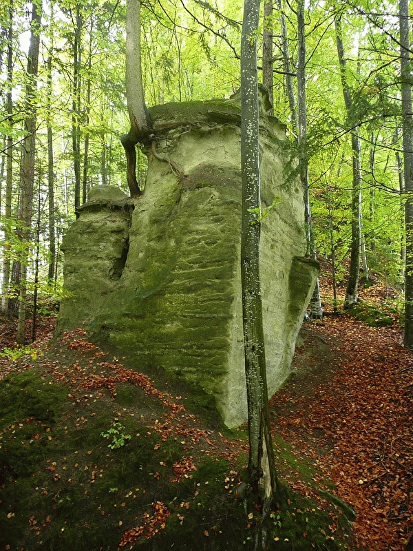 Burg Grimmenstein