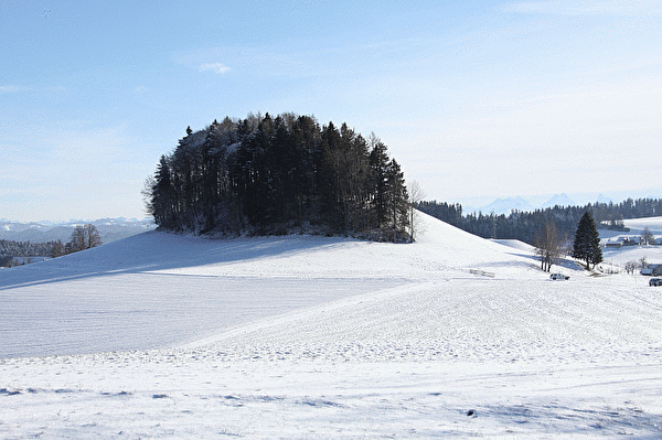 Ruine Friesenberg