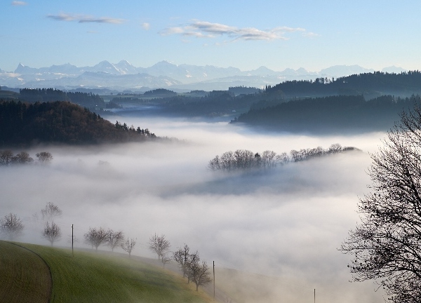 Berner Alpen über dem Nebelmeer