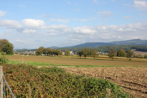 Blick über Oberwiler Landschaft