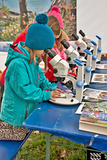 Kinder gucken durchs Mikroskop.