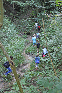 Kinder im Wald unterwegs