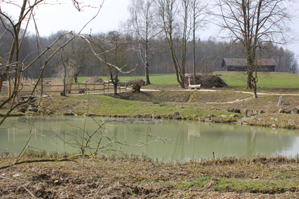 Biotop Chuegraben