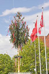 Maibaum und Fahnen