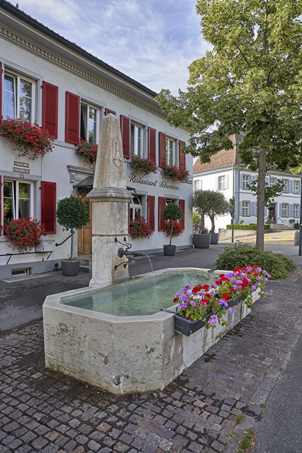 Schwanenbrunnen
