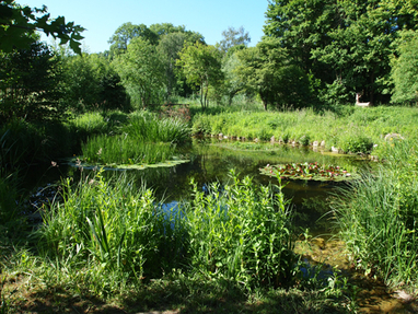 Biotop Chuegraben