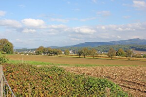 Oberwil verfügt über eine grosse Fläche an Landwirtschaftsland und Wald. Deren Zukunft soll nun mittels Revision des Zonenplans Landschaft neu festgelegt werden.