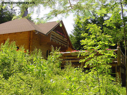 La cabane forestière de Courtemautruy a été financée par la commune de Courgenay-Courtemautruy et construite par la société d'embellissement de Courtemautruy. La société d'embellissement entretien cette très belle batisse et loue cette dernière.

Référence pour la location de la cabane de Courtemautruy:
Philippe Neukomm - tél. 077.214.07.81
