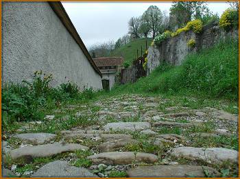 Chemin de la Charrière des Morts