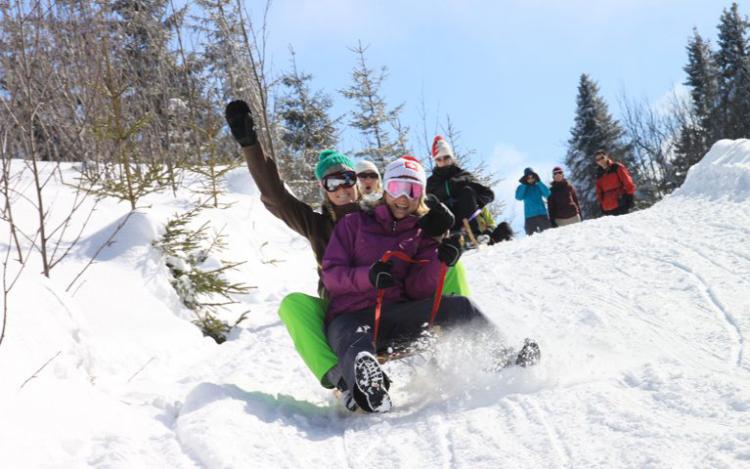 Luge