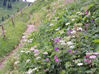 photo du sentier