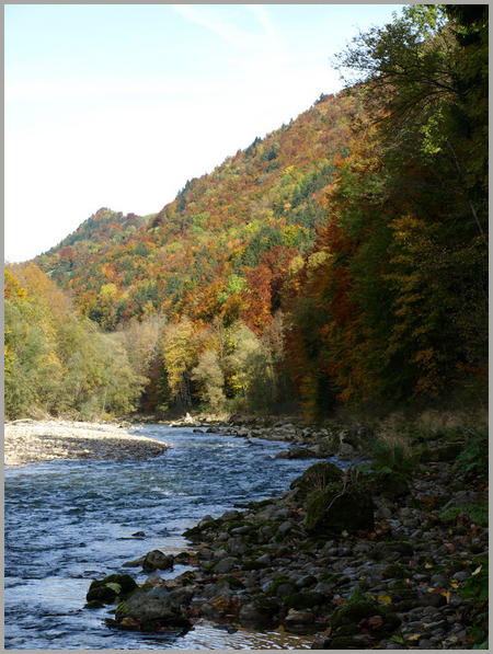 La Sarine bordée d'une végétation aux couleurs d'automne