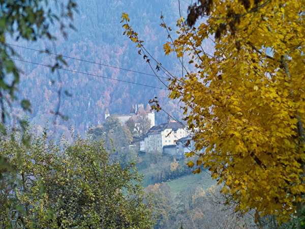 La rivière La Sarine