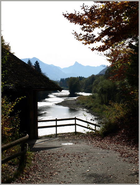 La Sarine reçoit les feuilles d'automne