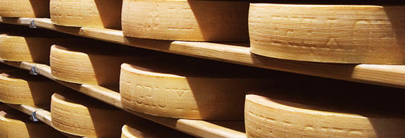 photo des meules de fromage