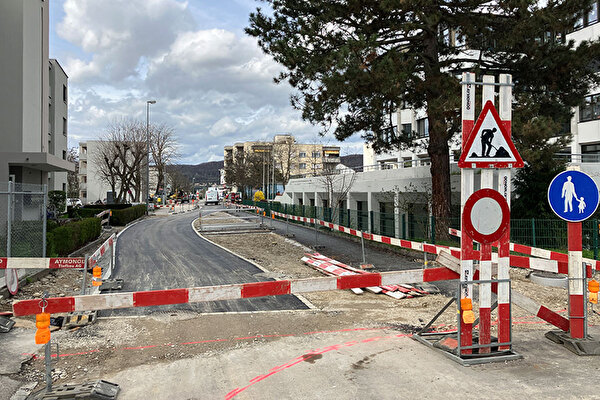 Weisungen verkehrspolizeilicher Anordnung