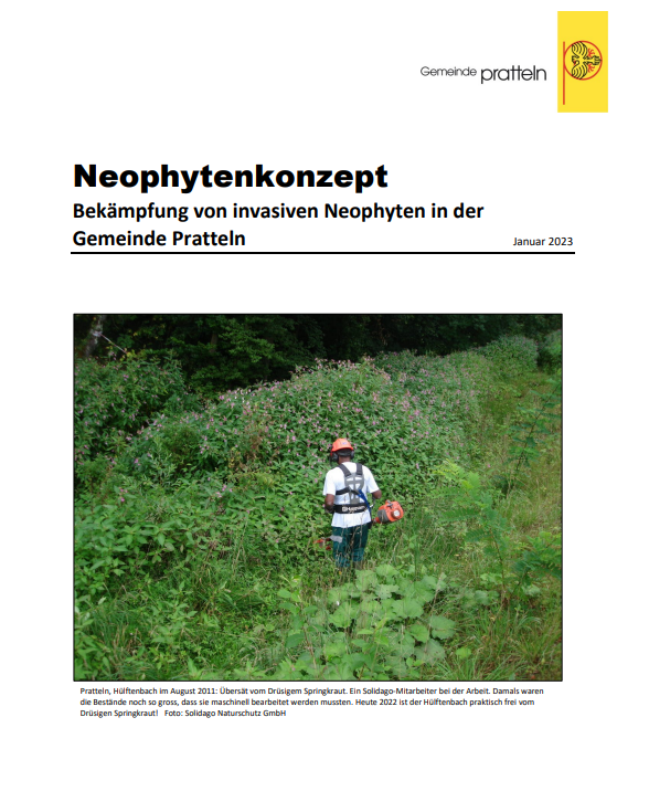 Gemeinde Pratteln Neophytenkonzept Neophyten Umwelt Natur