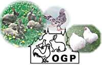 Logo OGP mit Hasen und Hühnern