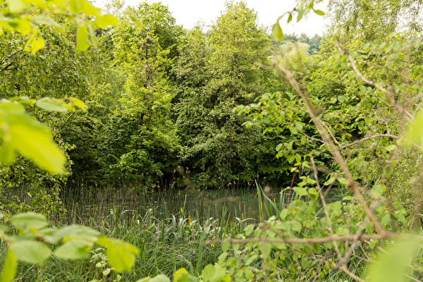 Gemeinde Pratteln Biodiversität Lebewesen Natur und Landschaft Projekte