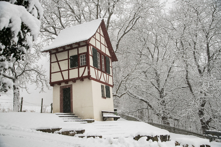 Hagenbächli im Winter
Gemeinde Pratteln
