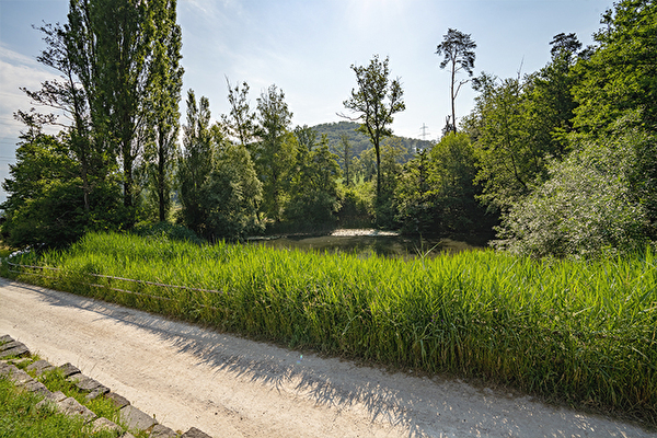 Landschaftsentwicklungskonzept  Biodiversität Naturraum