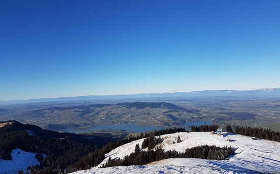 La Gruyère
