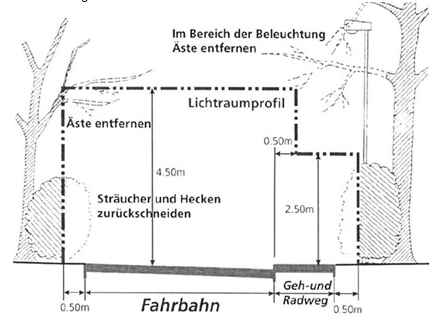 Bild eines Plans wie der Rückschnitt von Bäumen und Ästen zu erfolgen hat