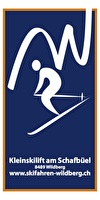 Skifahren Wildberg