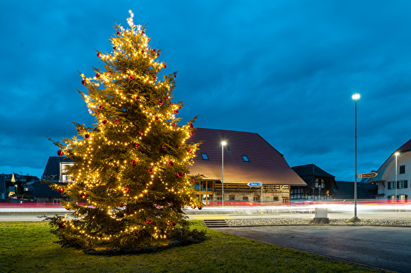 Weihnachtsbaum Bützberg