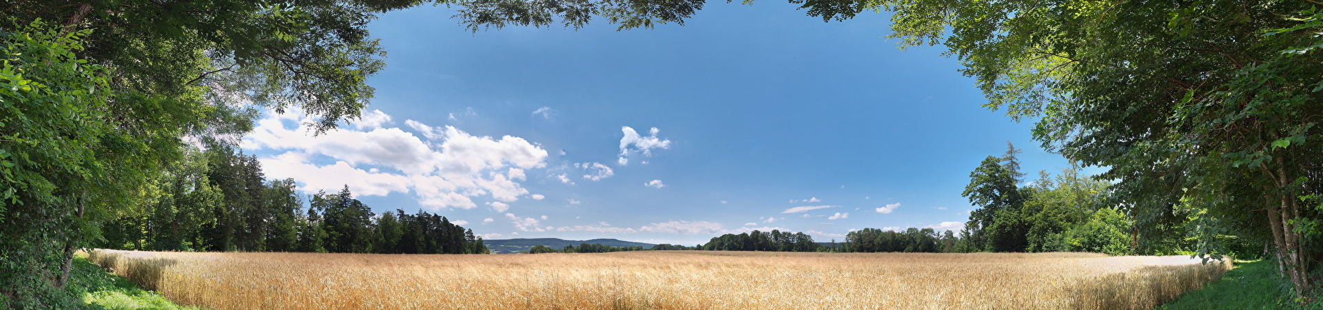 Sommer 2